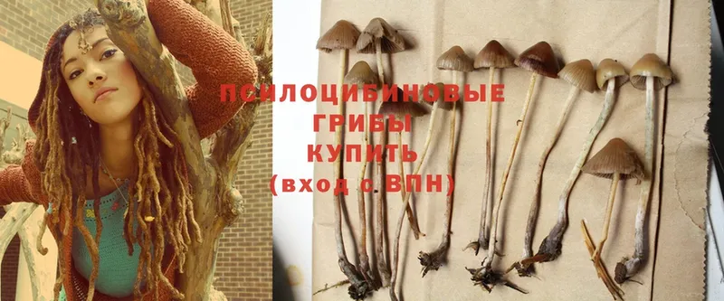 Псилоцибиновые грибы Psilocybine cubensis  даркнет сайт  Ухта 